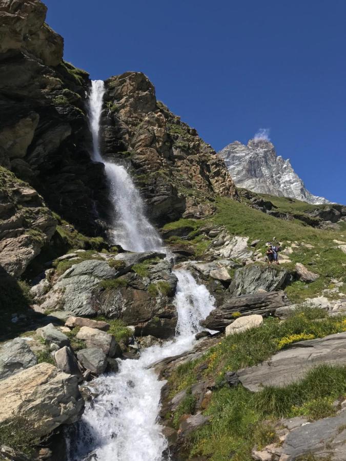 Chat Des Neiges - Cervinia Breuil-Cervinia Luaran gambar